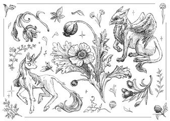 Detailed sketch of a unicorn and griffin surrounded by whimsical flowers and plants in a fantasy art style