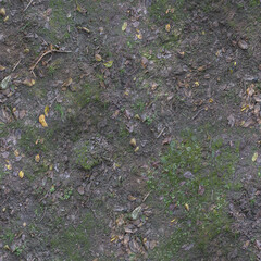 Natural ground texture with autumn leaves scattered on forest floor

