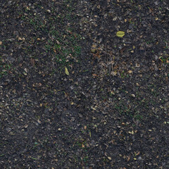 Natural ground texture with autumn leaves scattered on forest floor

