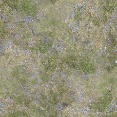 Natural ground texture with autumn leaves scattered on forest floor

