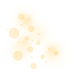 Bokeh Light Overlay