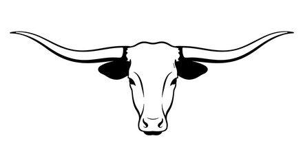Longhorn Bull Head Drawing Black and White