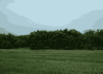 Fototapeta premium Trees illustration #4