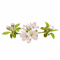 A vector of colorful flower
