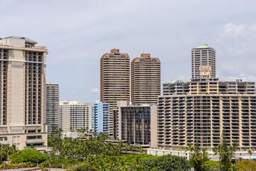 Obraz premium Urban Skyline with High-Rise Buildings and Lush Palm Trees in Honolulu, Hawaii