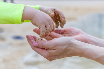 Child and Adult Hands Playing with Sand on a Beach in Honolulu