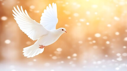 Obraz premium A white dove in flight against a warm, bokeh background. Symbol of peace and hope
