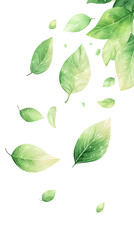 Obraz premium Falling green leaves graphic