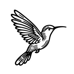 Obraz premium Hummingbird in Flight Black and White Bird Illustration