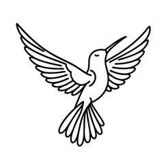 Hummingbird in Flight  Elegant Line Art Drawing
