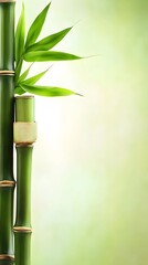 Naklejka premium Serene Green Bamboo Plants Nature Background