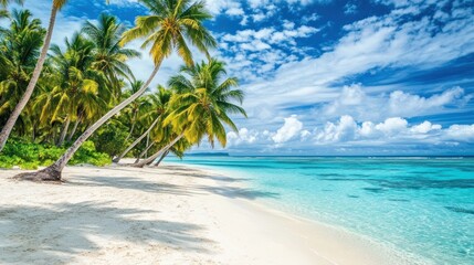 Pristine tropical beach with swaying palm trees under a vibrant blue sky.  Tranquil turquoise water laps against the white sand shore, creating a perfect tropical paradise