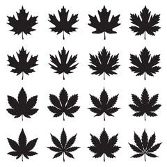 Autumn leaves Silhouette Vector