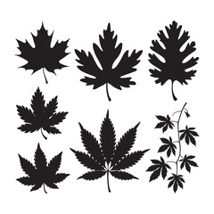 Autumn leaves Silhouette Vector