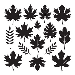 Autumn leaves Silhouette Vector