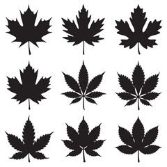 Autumn leaves Silhouette Vector