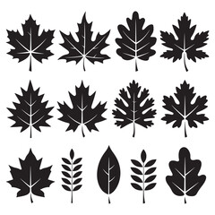 Autumn leaves Silhouette Vector