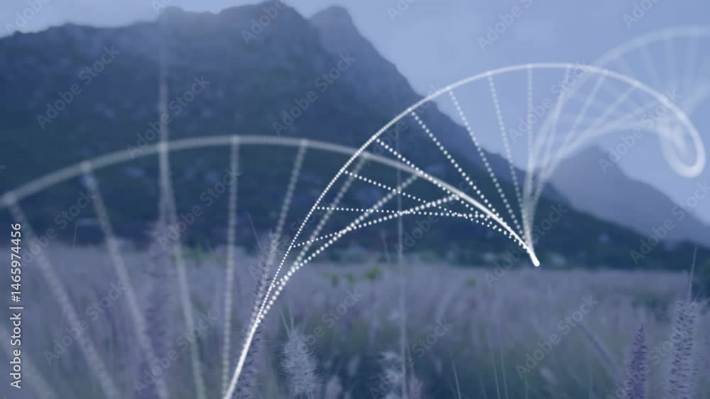 Poster grass stems merging with white dotted arcs creating digital data paths across misty mountain slopes
