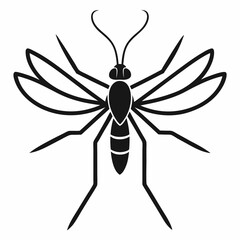 Mosquito on a white background