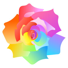 レインボーローズ（虹色の薔薇）一輪のアップ