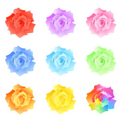 カラフルなバラとレインボーローズのセット