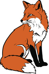 Fox Sitting Tail Curled Silhouette Vector