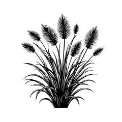 Elegant botanical illustration featuring stylized pampas grass in monochromatic
