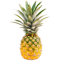 Obraz premium Fresh Pineapple