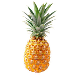 Fototapeta premium Fresh Pineapple Fruit