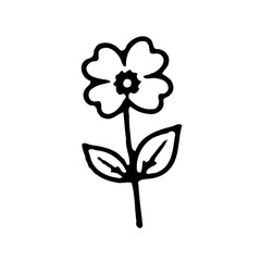 Simple botanical sketch: Single flower with stem and leaves against white backdrop