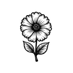 Delicate floral illustration displaying a blooming flower with intricate details