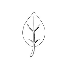 Minimalist Leaf Line Art &ndash; Simple Nature Illustration