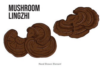 MASHROOM LINGZHI vector editable 