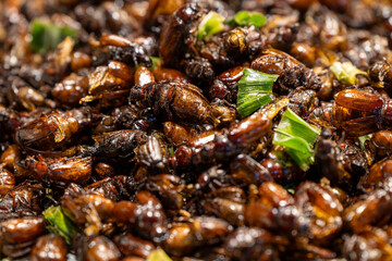 Crunchy edible insects served with green garnish at a bustling marketplace during daytime in a vibrant city