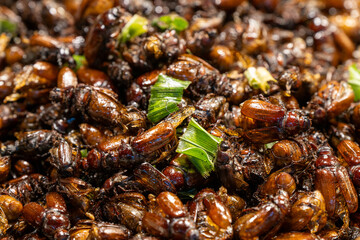 Delicious dish featuring roasted edible insects served with green herbs in a market