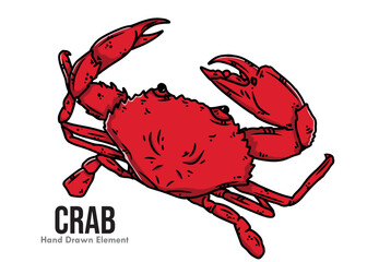 red crab isolated on white background