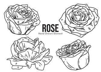 set of roses vector