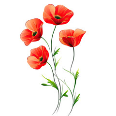 Three vibrant poppies