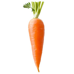 Fresh carrot PNG cutout isolated on white and transparent background. cut-out, carrot, food, root, vegetable, dieting, ingredient, isolated, salad, white, leaf, nature, orange, background, fresh,