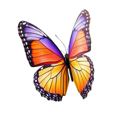 Fototapeta premium Colorful butterfly in flight (1)