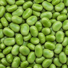 Many broad beans filling the entire frame, top-down view.