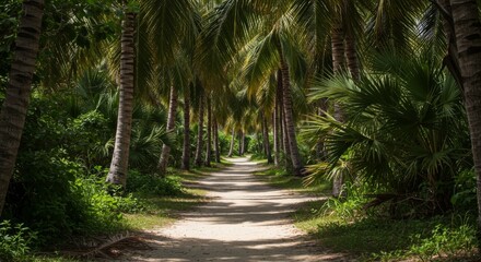 Obraz premium Sunlit Path Through Lush Tropical Forest