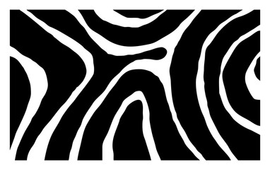 abstract zebra pattern background
