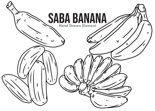 bananas vector sketch on black outline