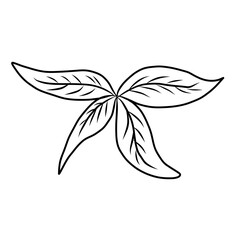 Free hand Sakura flower vector set, Beautiful line art Peach blossom isolate on white background.Cherry blossom illustration set.Element for weding card or printing on backdrop.