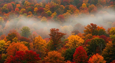 Fleecedeken met foto Scenic autumn foliage landscape with colorful trees and fog in a woodland forest view image nature scene © Rafael