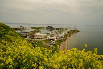 Fototapete bei efototapeten.de bestellen   