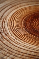 Fototapeta premium Close-up of concentric brown wood rings texture, showing growth rings, creating a natural and organic appearance, symbolizing time, growth and nature