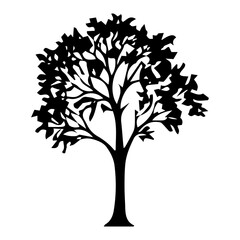 Fototapeta premium Diverse Tree Silhouette Collection, Coniferous, Deciduous, and Bare Branch in Vector Format, Black and White Vector Illustration, Variations of Tree Shapes from Broadleaf to Needle-leaf