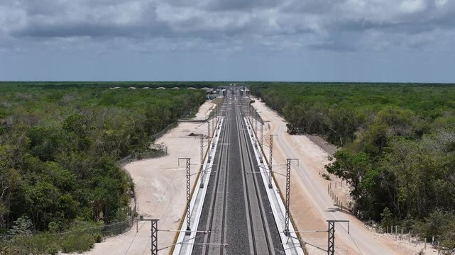 v&iacute;as de tren en selva de M&eacute;xico 